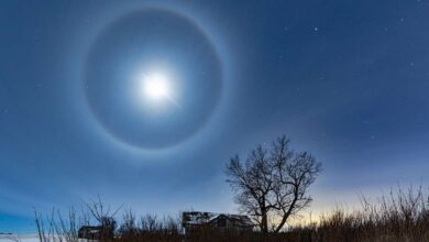 What Causes a Ring to Appear Around the Moon?