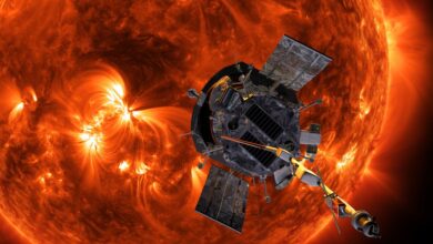 NASA’s Parker Solar Probe has survived the closest-ever Sun flyby